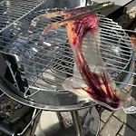 Paula Im Lausitzer Seenland ゼンフテンベルク