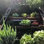 Paula Im Lausitzer Seenland ゼンフテンベルク