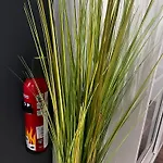 Paula Im Lausitzer Seenland *