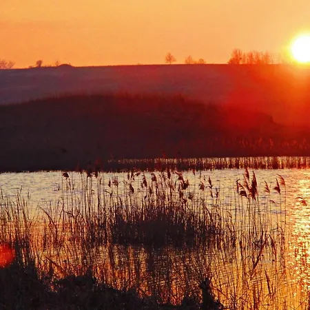 Paula Im Lausitzer Seenland Зенфтенберг