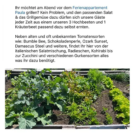 Проживание в семье Paula Im Lausitzer Seenland *