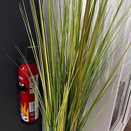 Paula Im Lausitzer Seenland *