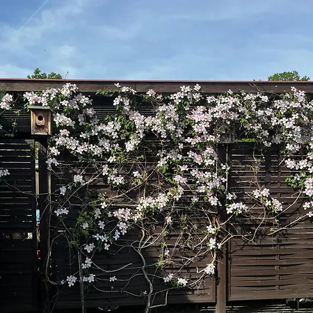 Paula Im Lausitzer Seenland Kwatera prywatna *