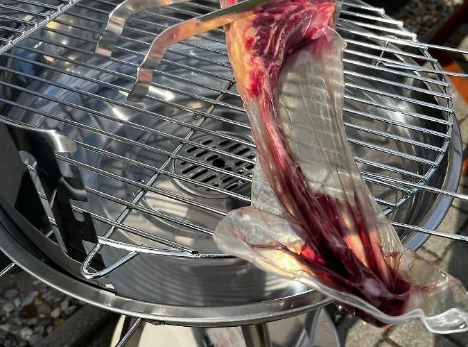 Paula Im Lausitzer Seenland سنفتنبرغ