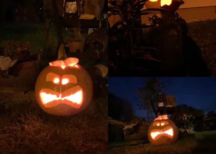 Paula Im Lausitzer Seenland Habitación en casa particular Senftenberg