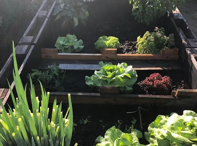 Paula Im Lausitzer Seenland Senftenberg