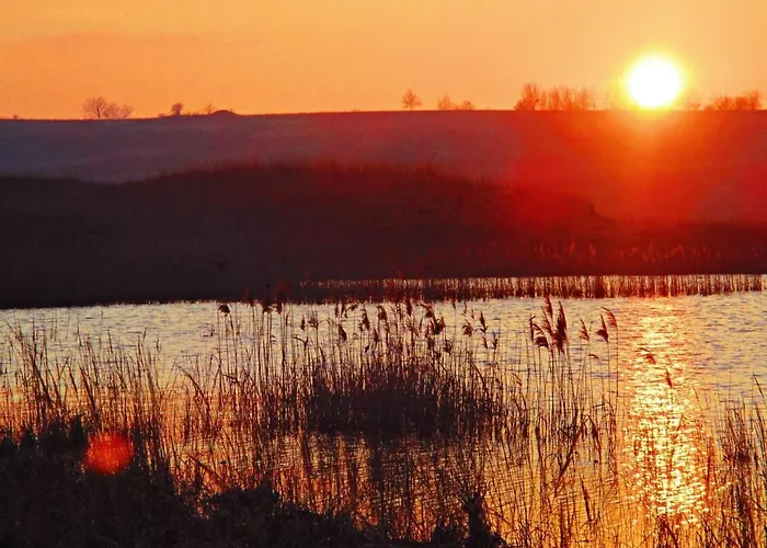 Paula Im Lausitzer Seenland سنفتنبرغ