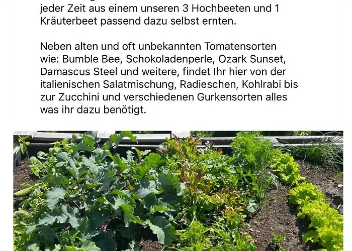 منزل للإقامة Paula Im Lausitzer Seenland *