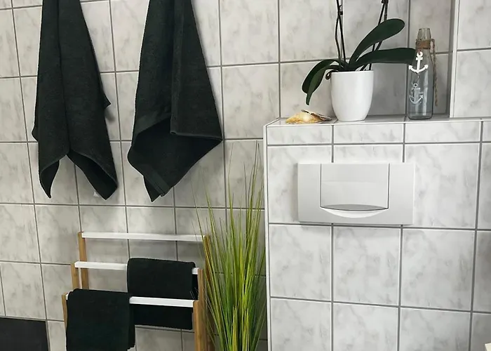 Paula Im Lausitzer Seenland