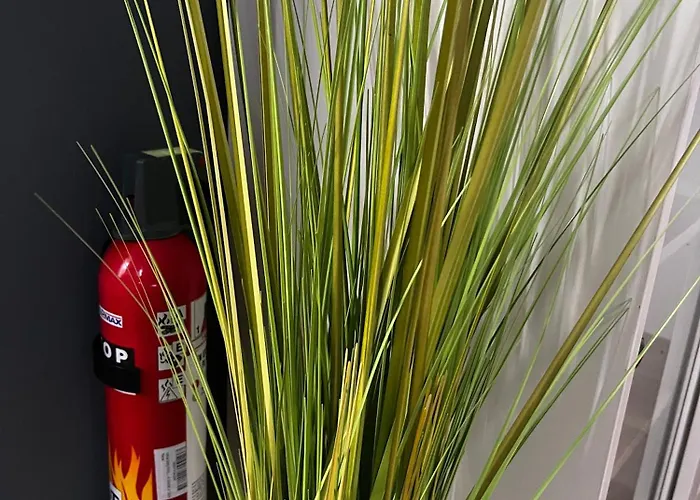 Paula Im Lausitzer Seenland *