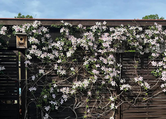 Paula Im Lausitzer Seenland Kwatera prywatna *